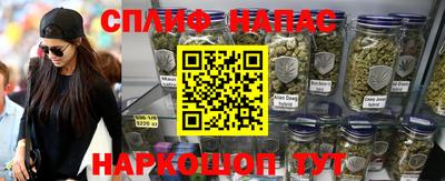 не бодяженный Сланцы