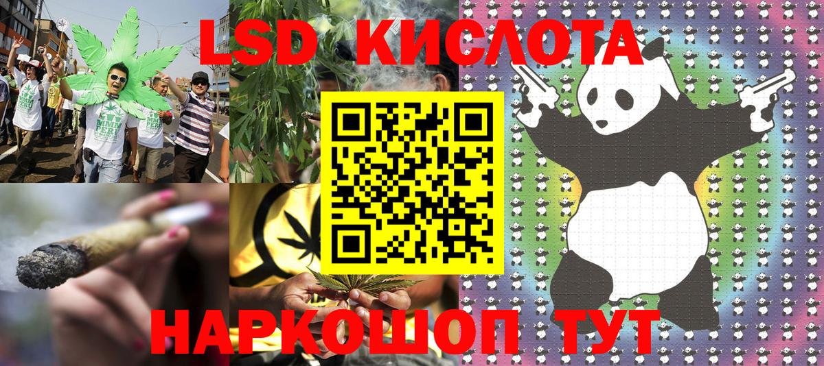 Новороссийск  Наркотические марки 1500мкг  Вход с VPN  Наркотические марки 1500мкг 