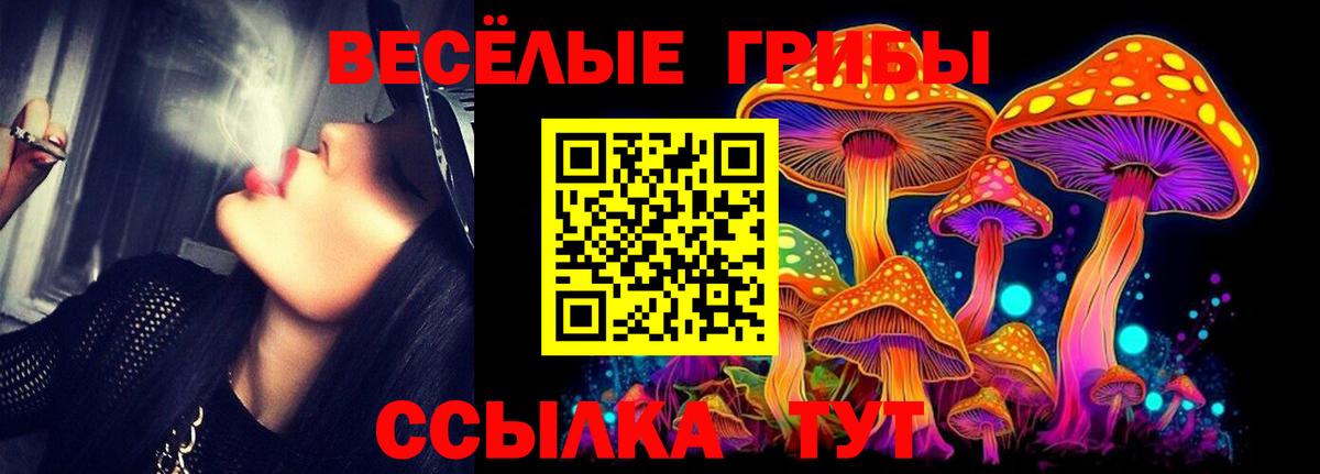 Псилоцибиновые грибы Psilocybine cubensis Новороссийск