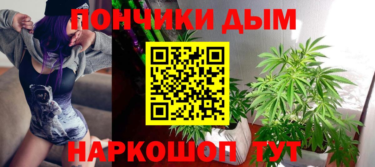 Шишки марихуана MAZAR  Вход с VPN  Новороссийск  Марихуана план 